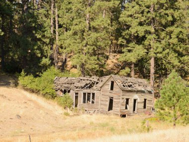 Washington Palouse bölgedeki eski terk edilmiş homestead