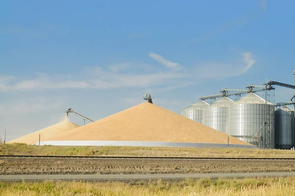 Grain Silo Elevator Mountain Grain Palouse Washington — Stock Photo, Image