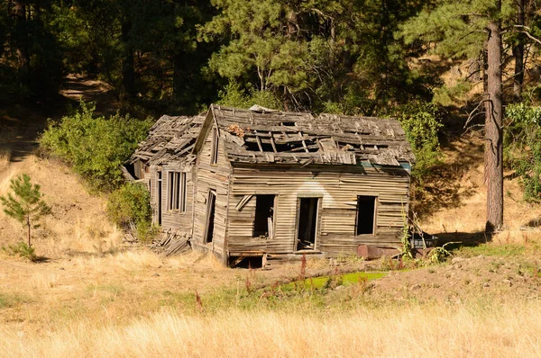 Antigua Granja Abandonada Región Palouse Washington —  Fotos de Stock