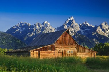 Ahırda tetons mormon yaşlı