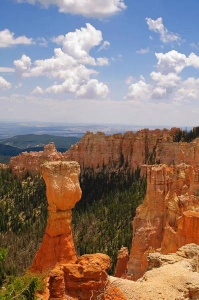 Bryce Canyon Vista — Stockfoto