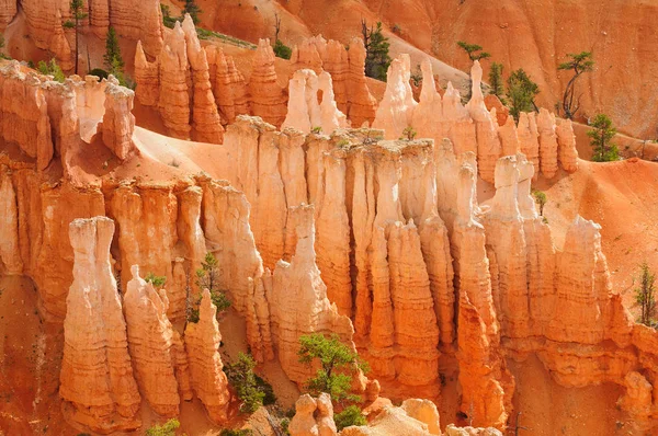 View Part Bryce Canyon National Park — Stock Photo, Image