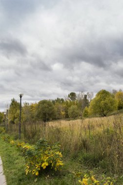 Sonbahar parkta Kuzey Tushino, Moskova, Rusya Federasyonu