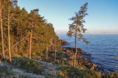 Sunset bulvarında Valaam Adası, Karelya