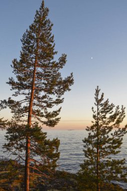 Sunset bulvarında Valaam Adası, Karelya