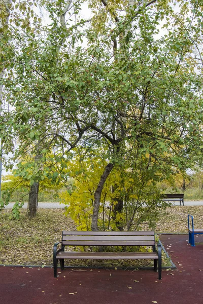 Sonbahar parkta Kuzey Tushino, Moskova, Rusya Federasyonu — Stok fotoğraf