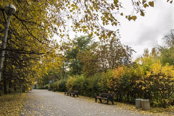 Sonbahar parkta Kuzey Tushino, Moskova, Rusya Federasyonu — Stok fotoğraf