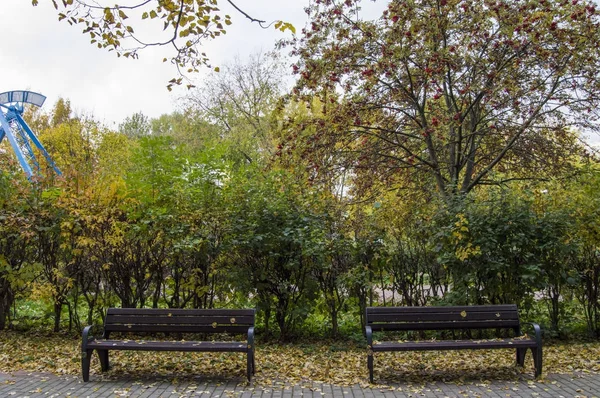 Hösten i parken norra Tushino, Moskva, Ryssland — Stockfoto