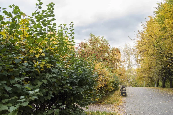 Hösten i parken norra Tushino, Moskva, Ryssland — Stockfoto