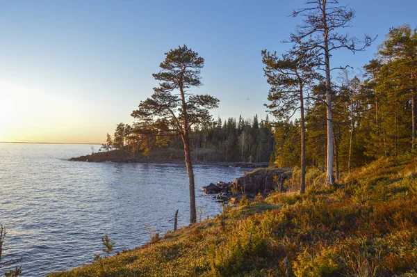 Puesta de sol en la isla de Valaam, Karelia —  Fotos de Stock