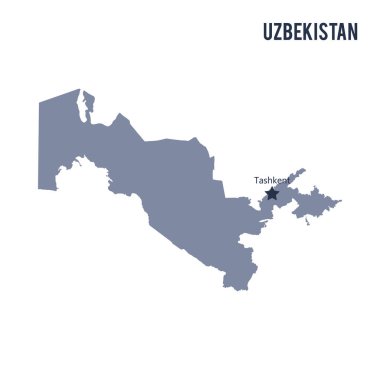 Beyaz arka plan üzerinde izole Özbekistan haritası vektör.