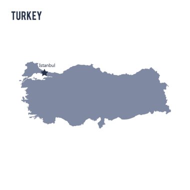 Beyaz arka plan üzerinde izole Türkiye Haritası vektör.