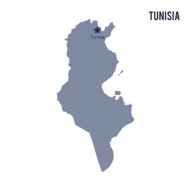 Beyaz arka plan üzerinde izole Tunus Haritası vektör.