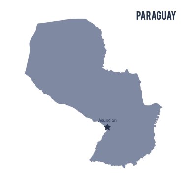 Beyaz arka plan üzerinde izole Paraguay Haritası vektör.