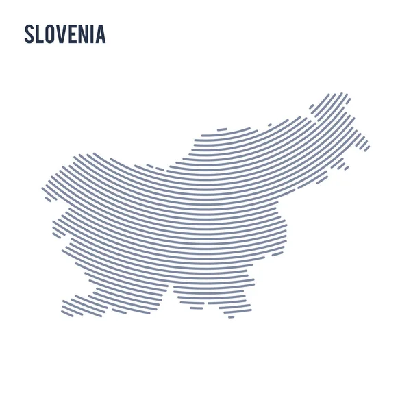 Vector abstracto eclosionada mapa de Eslovenia con líneas de curva aisladas sobre un fondo blanco . — Archivo Imágenes Vectoriales