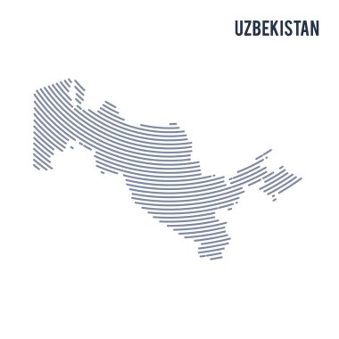 Vektör soyut taranmış Özbekistan haritası ile beyaz bir arka plan üzerinde izole eğri çizgiler.
