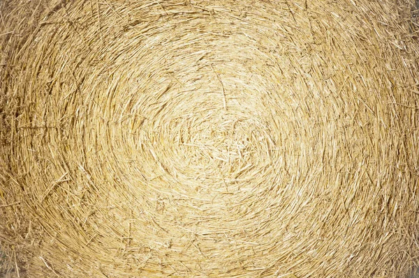 Straw packed in round — Stock Photo, Image