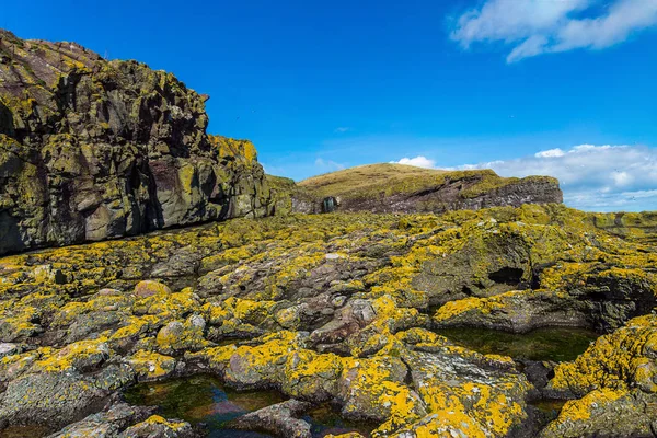 Rock Pools and yellow lichen.