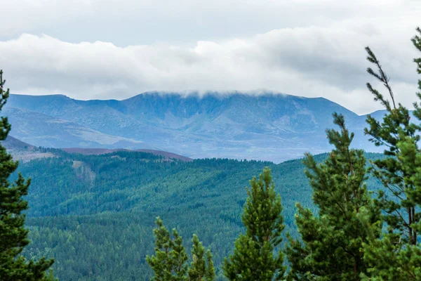 Lochnagar ağaçlar ile.