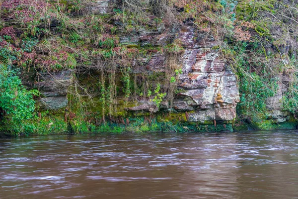 Acantilado del barranco de Ayr . — Foto de Stock