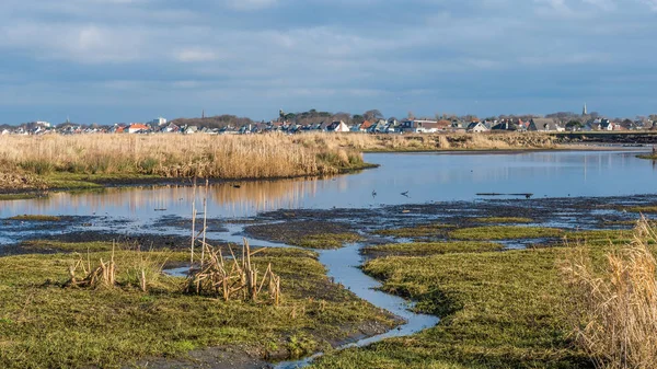 Bullrushes en el estuario del río Doon . — Foto de Stock