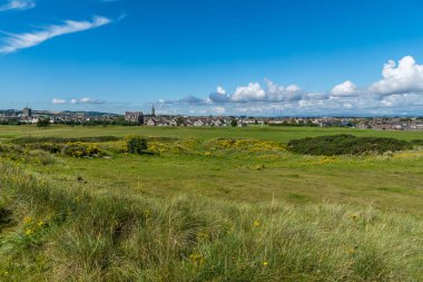 Beach kumulları, golf sahası ve Montrose.
