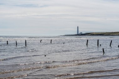 Montrose Bay, Haliç ve deniz feneri.