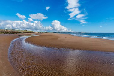 Montrose plaj ve bay.
