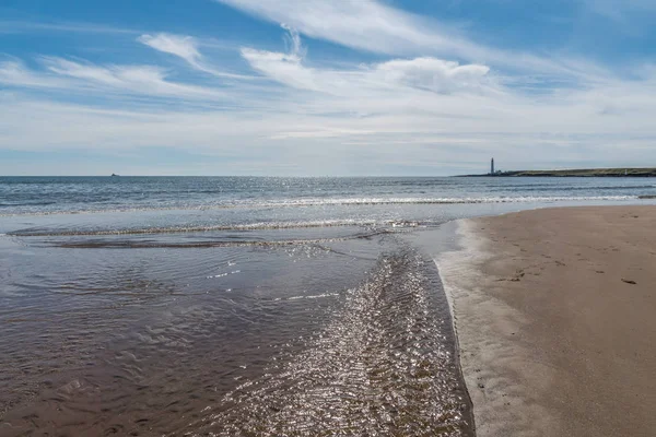 Akış ve Montrose Koyu'ndaki plaj.