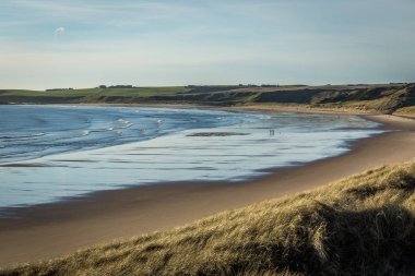 Cruden Bay beach ve rakamlar.
