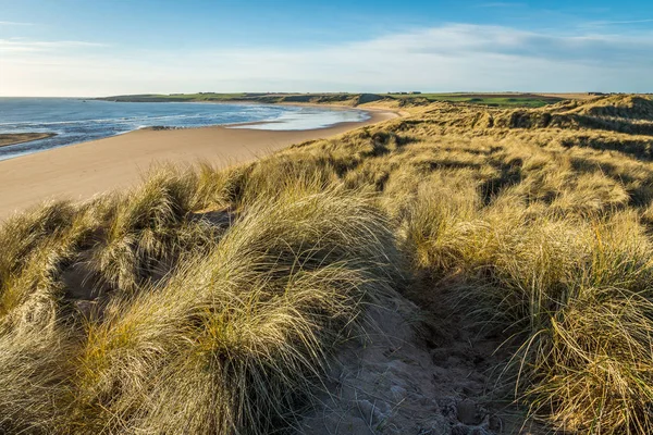 Cruden Bay tepeleri ve plaj.