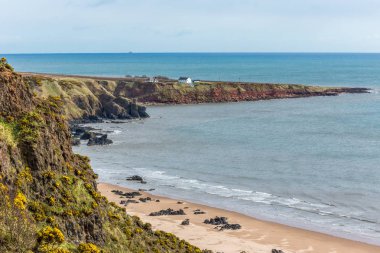 St Cyrus cliff ve burun.