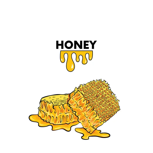 蜂蜜梳子在白色背景上隔离对象的逼真插图 — 图库矢量图片