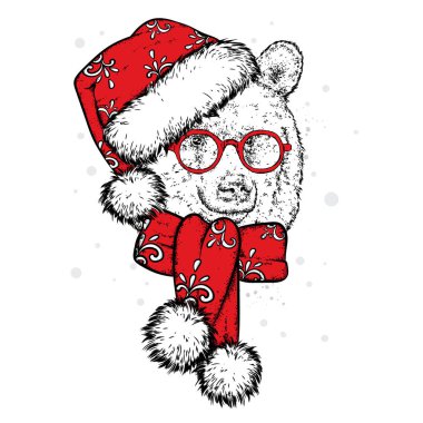 Güzel bir ayı bir yeni yıl şapka ve atkı. Vektör çizim. Yeni yıl ve Noel.