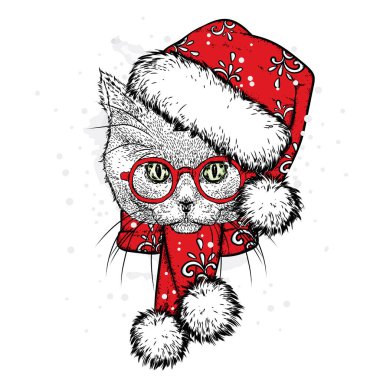 Bir yeni yıl şapka ve atkı de sevimli kedi. Vektör çizim. Güzel kedi. Noel Baba. Yeni yıl ve Noel.