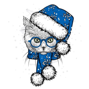 Bir yeni yıl şapka ve atkı de sevimli kedi. Vektör çizim. Güzel kedi. Noel Baba. Yeni yıl ve Noel.