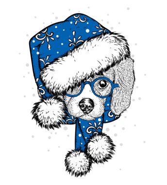 Bir yeni yıl şapka ve atkı şirin köpek yavrusu. Vektör çizim. Safkan köpek. Noel Baba. Yeni yıl ve Noel.
