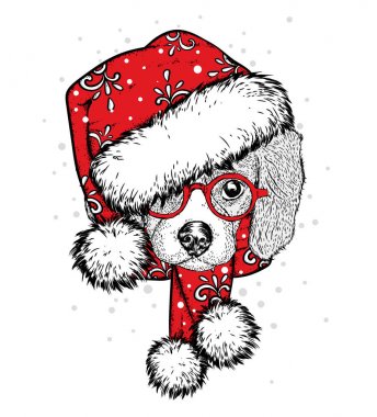 Bir yeni yıl şapka ve atkı şirin köpek yavrusu. Vektör çizim. Safkan köpek. Noel Baba. Yeni yıl ve Noel.
