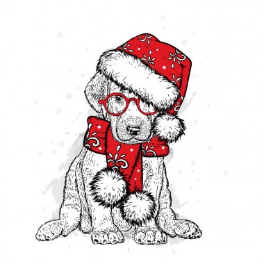 Bir yeni yıl şapka ve atkı şirin köpek yavrusu. Vektör çizim. Safkan köpek. Noel Baba. Yeni yıl ve Noel.