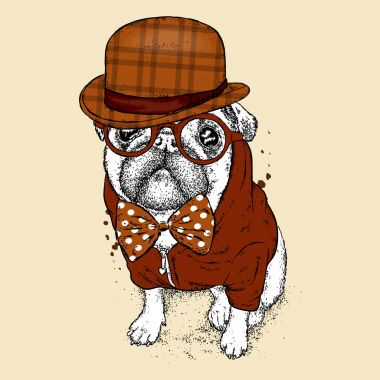 Yakışıklı hem de bir gözlük ve şapka ile. Vektör çizim bir kartpostal veya poster, giysiler için yazdırma için. Köpek hippi giysili. Moda ve stil. Komik köpek yavrusu.