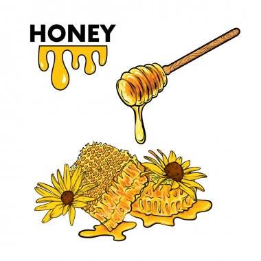 Bal tarak, sarı papatyalar ve bir tahta kaşık bal için. Beyaz bir arka plan üzerinde izole nesneleri ile gerçekçi illüstrasyon.