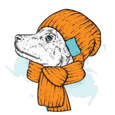 Bir örgü şapka ve atkı güzel bir köpek. Şirin köpek. Vektör çizim için bir kartpostal veya poster, giysiler için yazdırma.