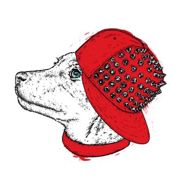 Dikenli şık bir kap içinde güzel bir köpek. Şirin köpek. Vektör çizim için bir kartpostal veya poster, giysiler için yazdırma.