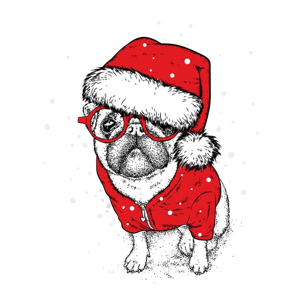 Bir yeni yıl şapka ve atkı şirin köpek yavrusu. Vektör çizim. Safkan köpek. Noel Baba. Yeni yıl ve Noel.