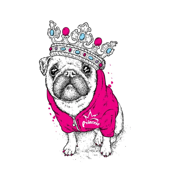 Un hermoso pug en la chaqueta y la corona. Ilustración vectorial para una postal o un póster, impresión para ropa. Perro hipster con ropa. Moda y estilo. Cachorro divertido . — Vector de stock