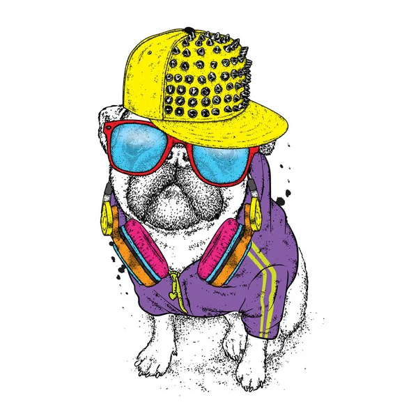 Pug indah dalam jaket, topi dengan paku dan headphone. Vektor ilustrasi untuk kartu pos atau poster, cetak untuk pakaian. Anjing hipster dalam pakaian. Mode & Gaya. Lucu anak anjing . - Stok Vektor