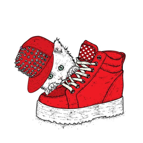 Şık bir kap dikenli de güzel kedi. Bir kedi ve bir kalın taban üzerinde bir spor ayakkabı. Vektör çizim için bir kartpostal veya bir poster. Giysi ve aksesuarları. Moda ve stil.