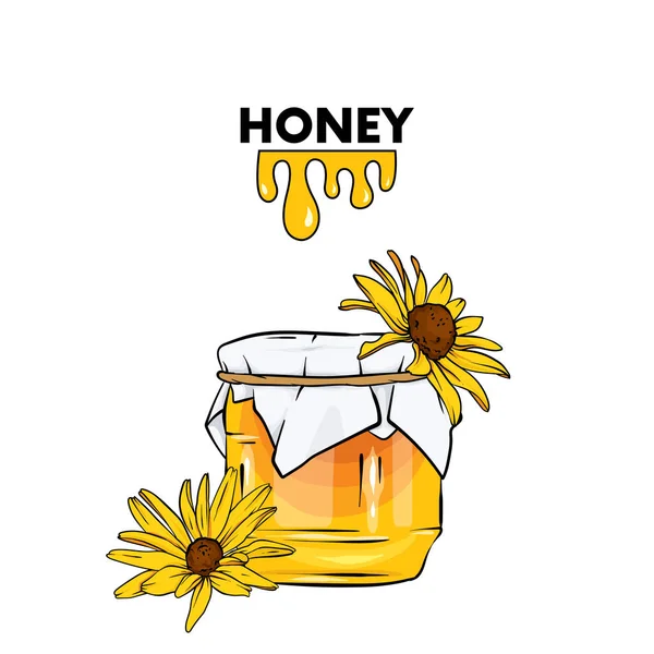 A beautiful jar of honey covered with a napkin with a bow of rope. Realistic illustration with objects isolated on a white background. — Stock Vector