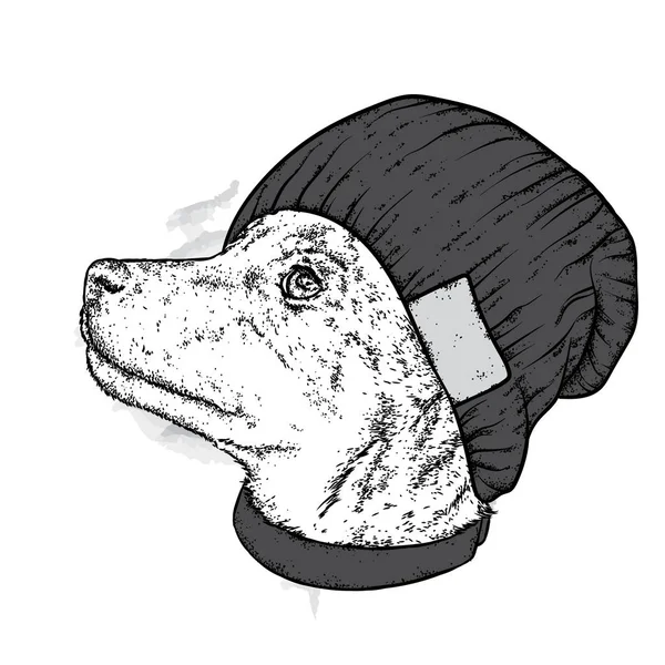 Seekor anjing cantik dengan topi rajutan dan syal. Anjing yang lucu. Ilustrasi vektor untuk kartu pos atau poster, cetak untuk pakaian . - Stok Vektor