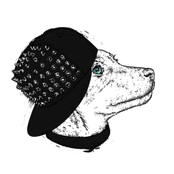 Un hermoso perro en una elegante gorra con pinchos. Lindo cachorro. Ilustración vectorial para una postal o un póster, impresión para ropa . — Archivo Imágenes Vectoriales